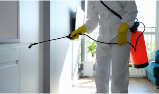 Pest control (Cleaning, disinfect)